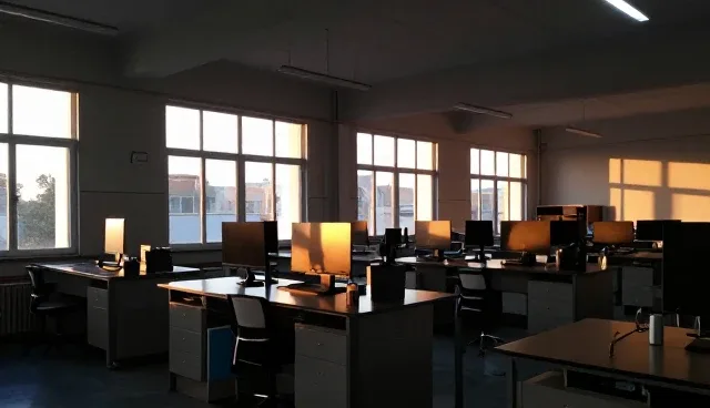 品牌建设误区澄清：自建与外包的取舍